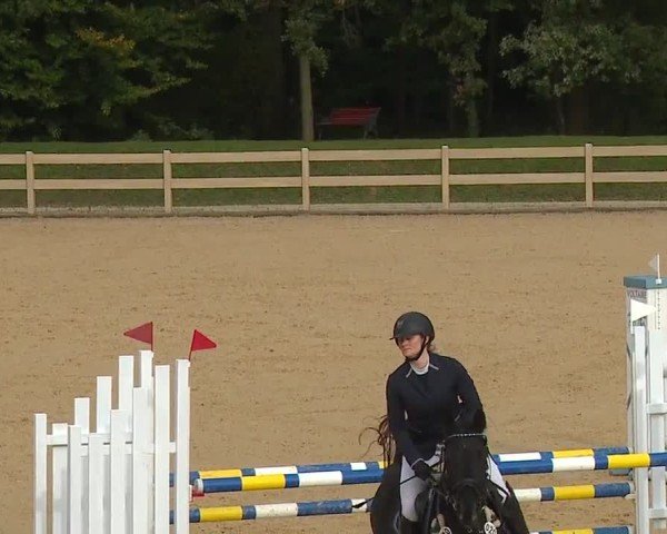 Reitturnier Tiefenhof/Opf. 2024