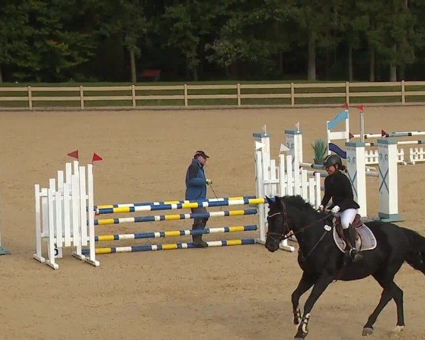 Reitturnier Tiefenhof/Opf. 2024