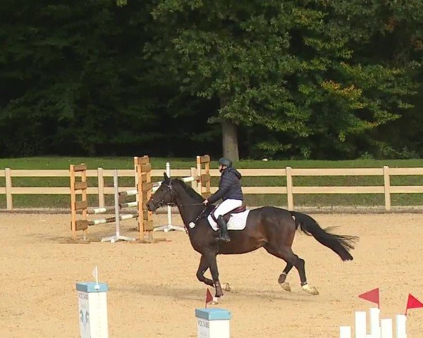 Reitturnier Tiefenhof/Opf. 2024