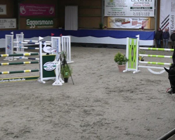Reitturnier Gadebusch 2024