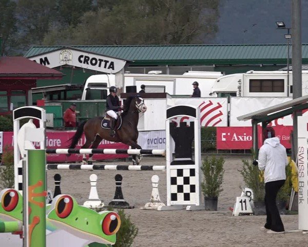 Reitturnier Giubiasco 2024