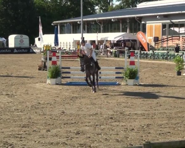 60. Lobbericher Reitsportfestival 01.-04.08.2013