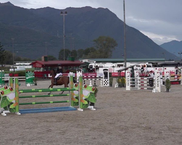 Reitturnier Giubiasco 2024