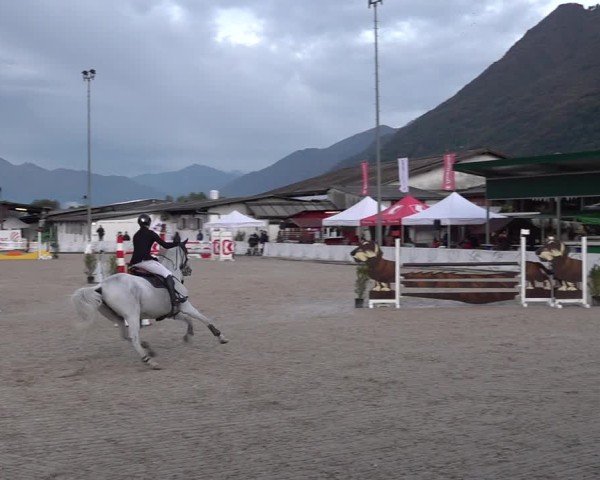 Reitturnier Giubiasco 2024
