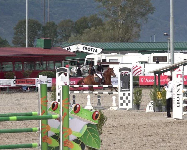Reitturnier Giubiasco 2024