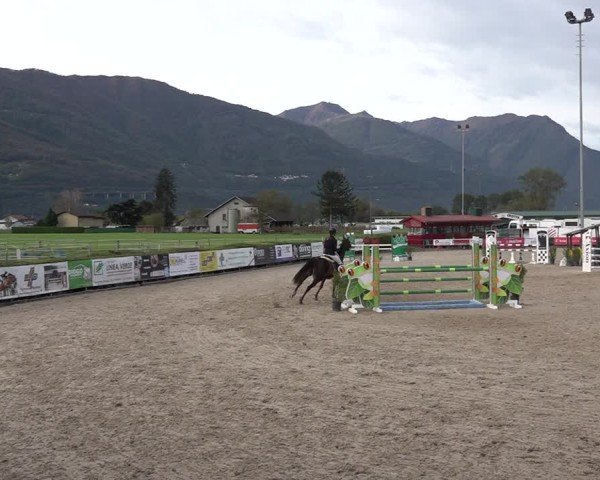 Reitturnier Giubiasco 2024