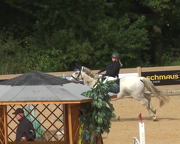 Reitturnier Tiefenhof/Opf. 2024