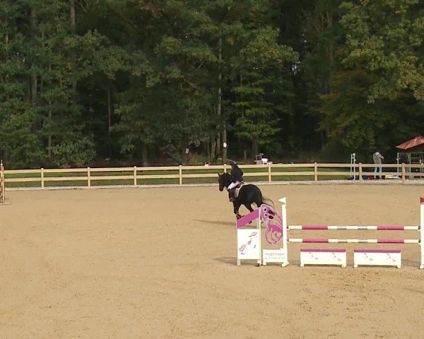 Reitturnier Tiefenhof/Opf. 2024