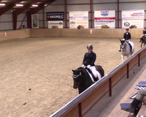 Reitturnier Behrendorf 2024