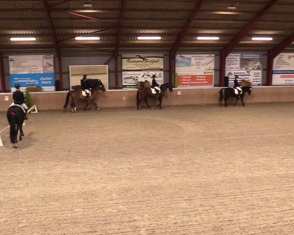 Reitturnier Behrendorf 2024