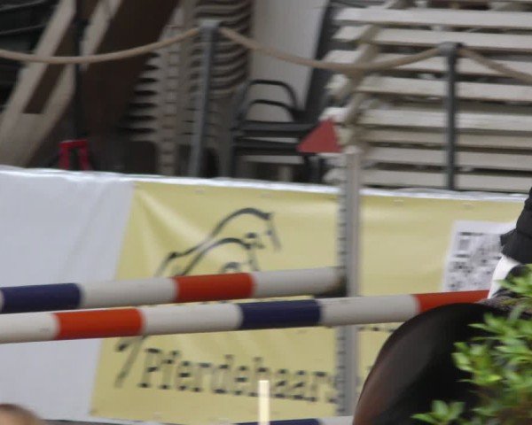 Reitturnier Böblingen 2024