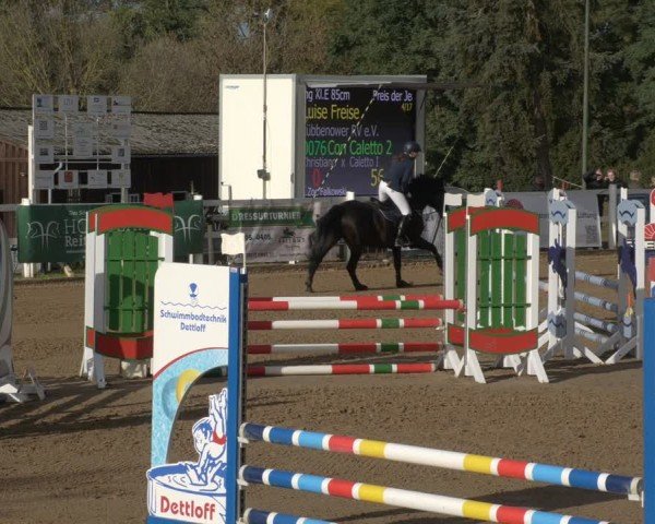 Reitturnier Teupitz 2024