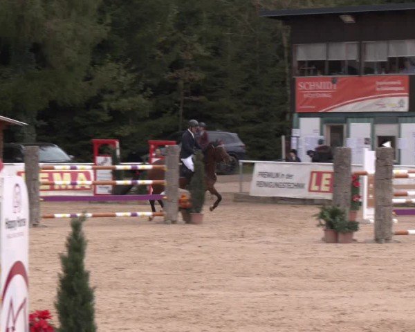 Reitturnier Ranshofen - Braunau am Inn 2024