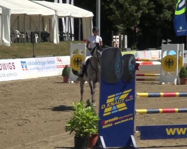 60. Lobbericher Reitsportfestival 01.-04.08.2013