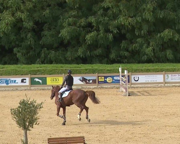 Reitturnier Tiefenhof/Opf. 2024