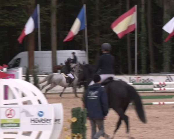 Reitturnier Ranshofen - Braunau am Inn 2024