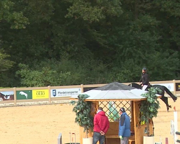 Reitturnier Tiefenhof/Opf. 2024