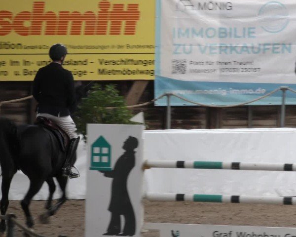 Reitturnier Böblingen 2024