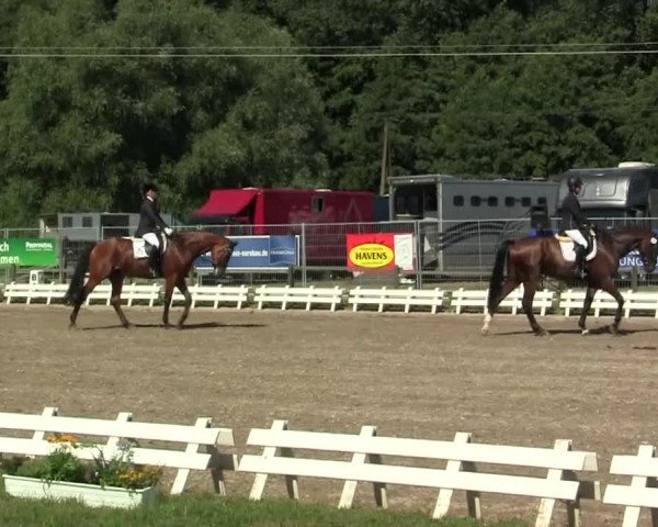 60. Lobbericher Reitsportfestival 01.-04.08.2013