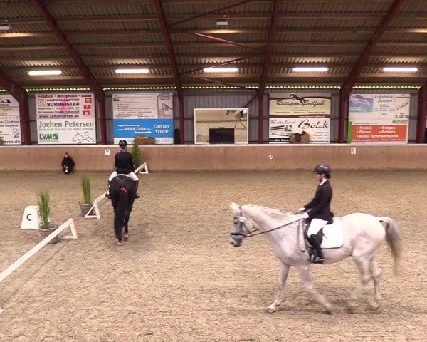 Reitturnier Behrendorf 2024