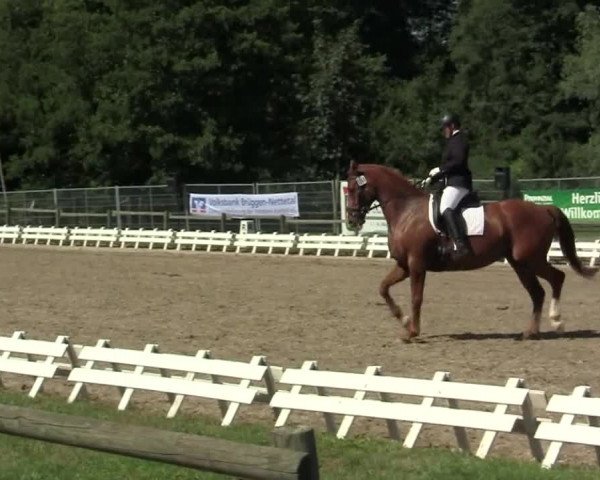 60. Lobbericher Reitsportfestival 01.-04.08.2013