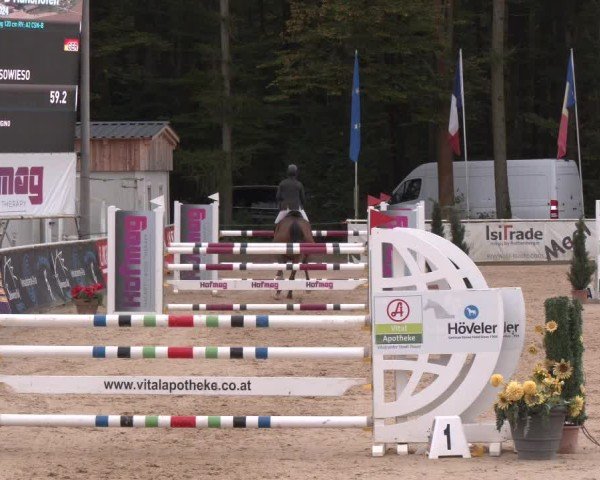 Reitturnier Ranshofen - Braunau am Inn 2024
