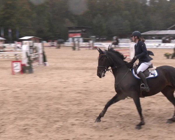 Reitturnier Ranshofen - Braunau am Inn 2024