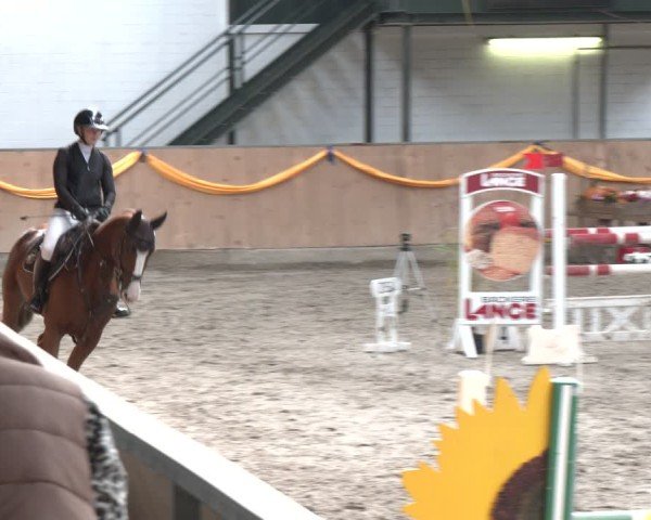 Reitturnier Salzkotten 2024