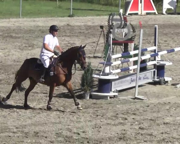 Leutkirch-Haid 2013
