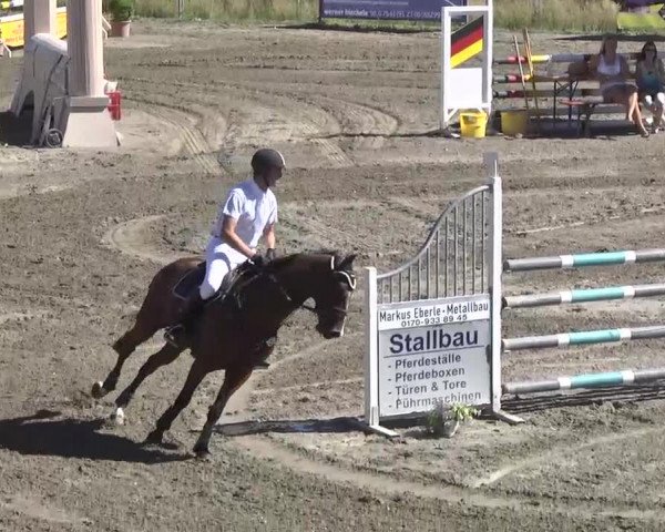 Leutkirch-Haid 2013