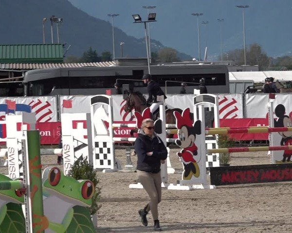 Reitturnier Giubiasco 2024