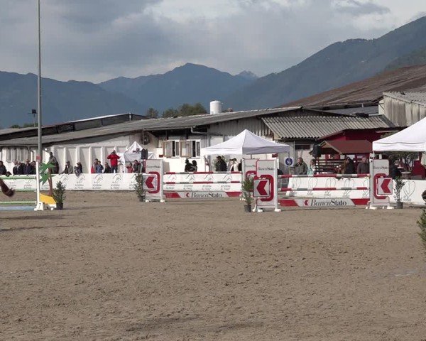 Reitturnier Giubiasco 2024