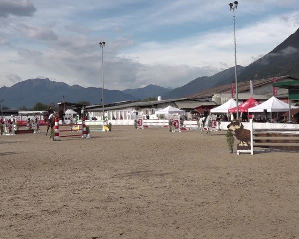 Reitturnier Giubiasco 2024