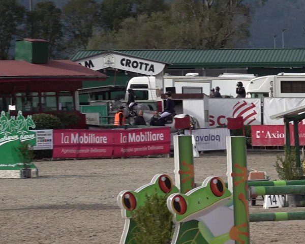 Reitturnier Giubiasco 2024