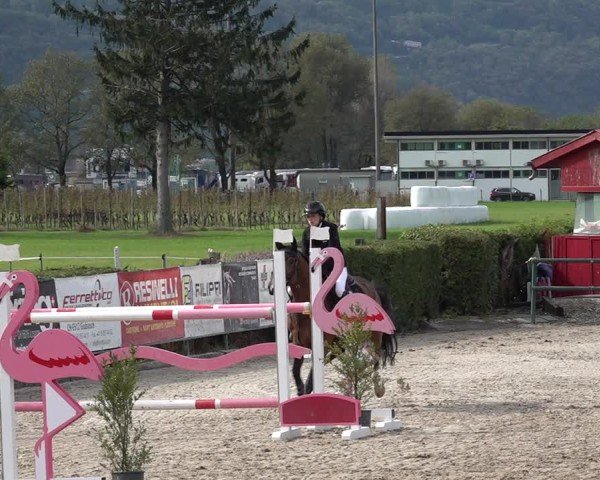 Reitturnier Giubiasco 2024