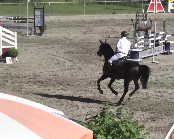 Leutkirch-Haid 2013
