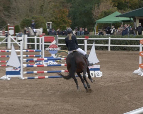 Reitturnier Teupitz 2024