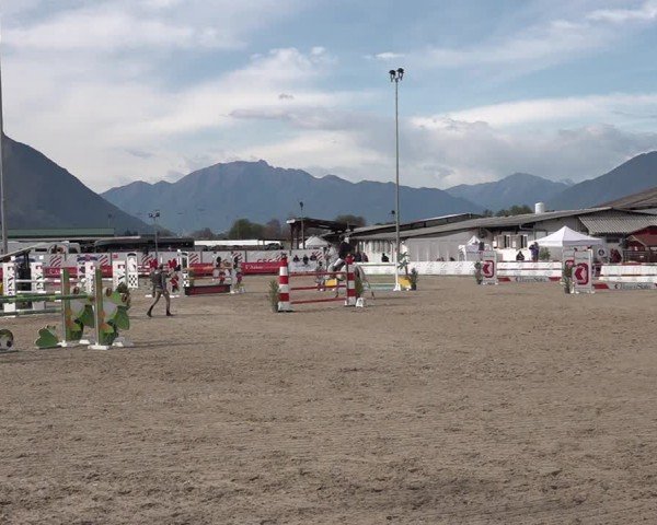 Reitturnier Giubiasco 2024
