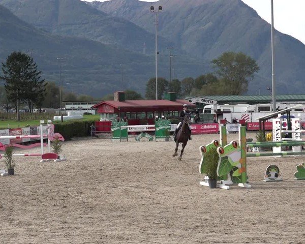 Reitturnier Giubiasco 2024