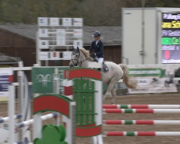 Reitturnier Teupitz 2024