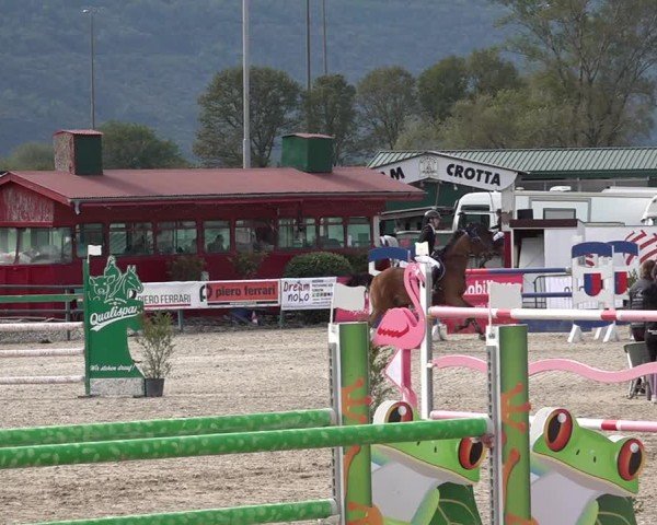 Reitturnier Giubiasco 2024