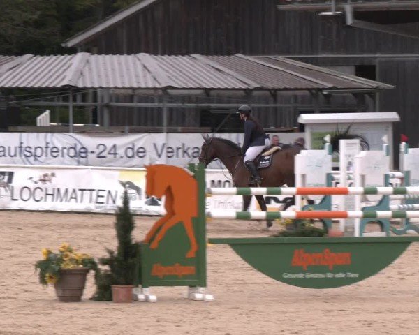 Reitturnier Ranshofen - Braunau am Inn 2024