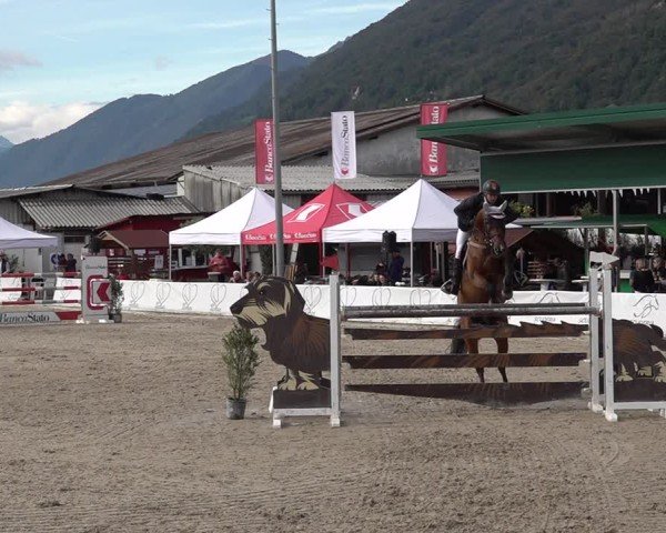 Reitturnier Giubiasco 2024