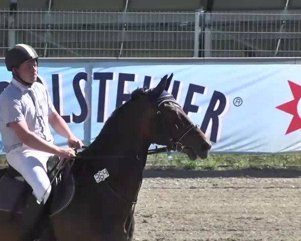 Leutkirch-Haid 2013