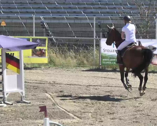 Leutkirch-Haid 2013