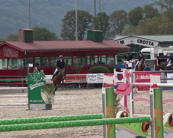 Reitturnier Giubiasco 2024