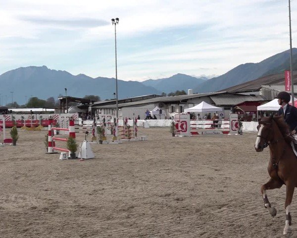 Reitturnier Giubiasco 2024