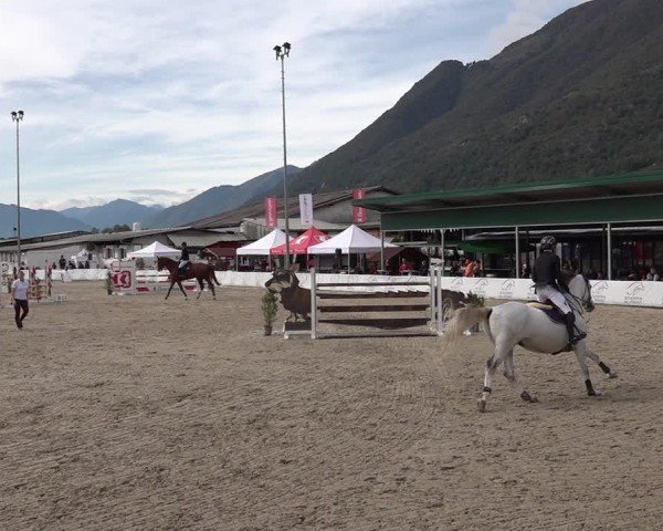 Reitturnier Giubiasco 2024