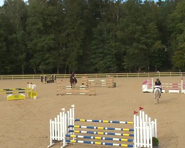 Reitturnier Tiefenhof/Opf. 2024