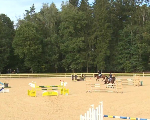 Reitturnier Tiefenhof/Opf. 2024